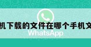 纸飞机下载的文件在哪个手机文件夹